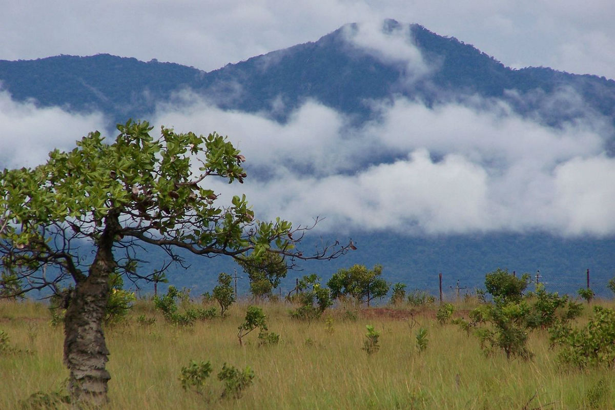 Guyana&rsquo;s government still dealing with fallout over controversial logging company